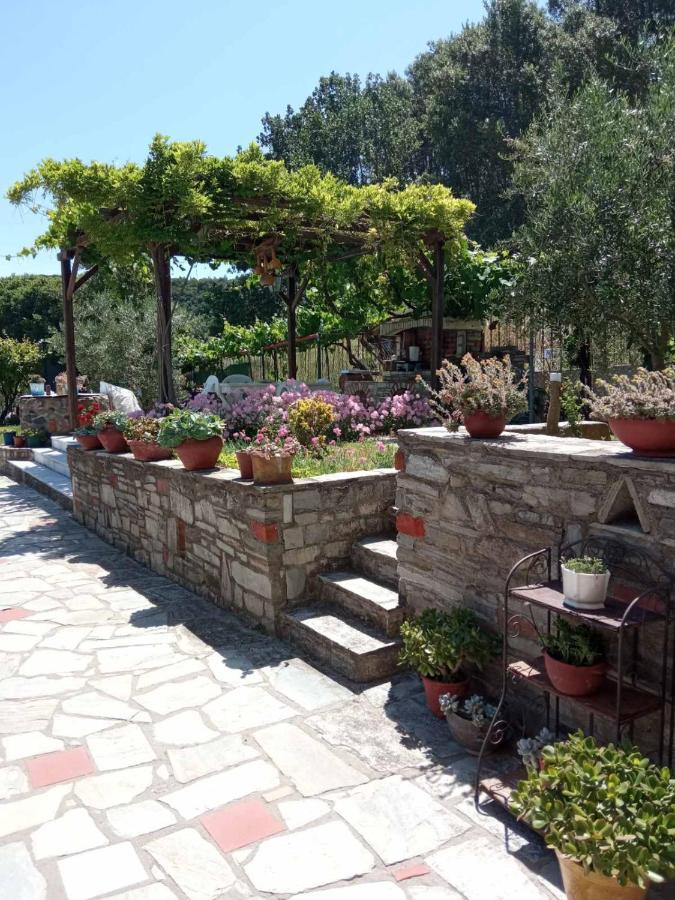 Sotiria House Apartment Sea View Lovely Garden Иериссос Экстерьер фото